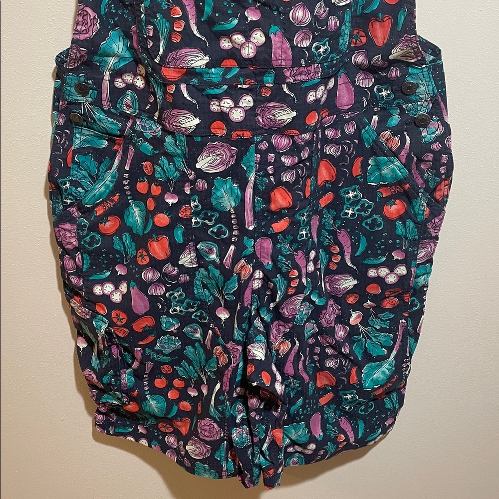 🥕 RARE PRINT 🍅 Duluth Trading Co Heirloom Gardening Overall Shorts💖 - Picture 5 of 14